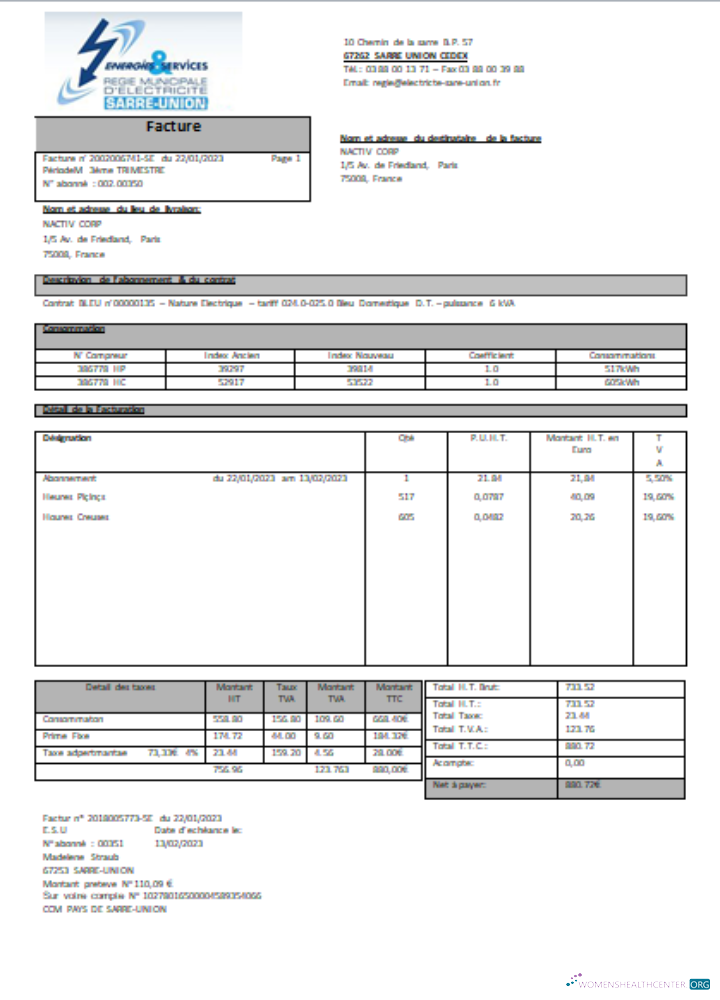 Energies & Services Regie Municipal d Electricite Sarre Union electricity utility business bill, SCR